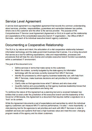 Comprehensive Information Technology Service Level Agreement