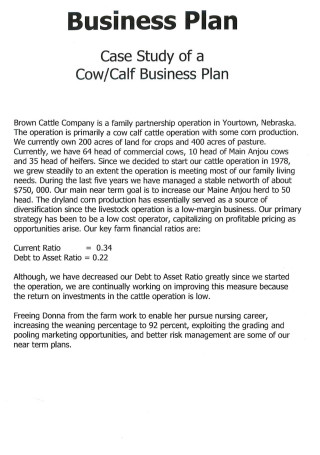 Cow Calf Business Plan