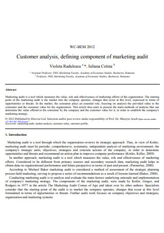 Customer Analysis of Marketing Audit