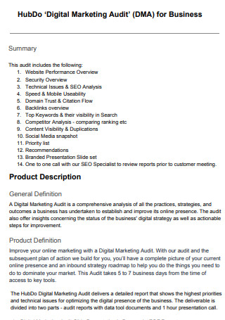 Digital Marketing Audit for Business