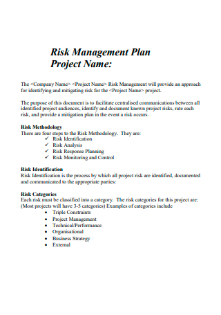 Draft Project Risk Management Plan