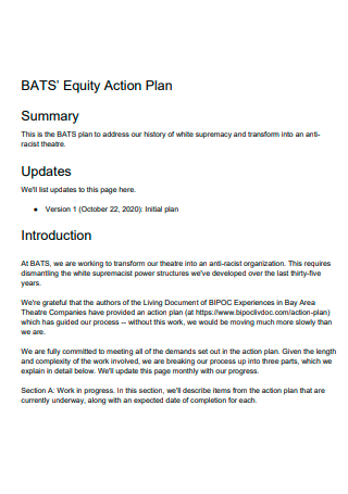 Equity Action Plan in PDF