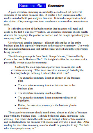 Executive Business Plan Template