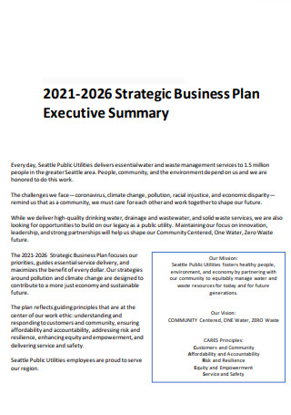 Executive Business Strategic Plan