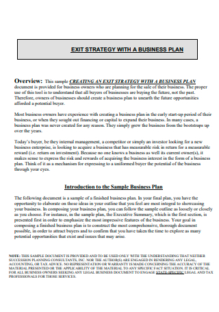 8+ SAMPLE Exit Strategy Business Plan in PDF