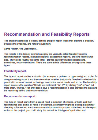 Formal Short Feasibility Report