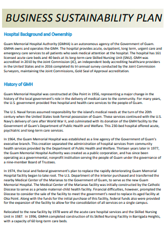 Healthcare Business Sustainability Plan