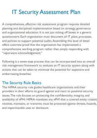 IT Security Assessment Plan