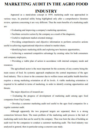 Marketing Audit in Agro Food Industry