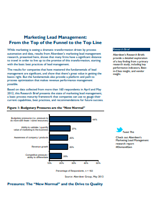 Marketing Lead Management Report