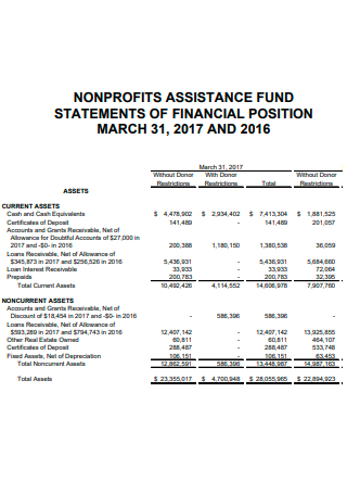 Non Profit Assistance Fund Financial Statements