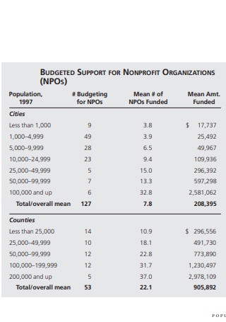 Non Profit Organization Budget