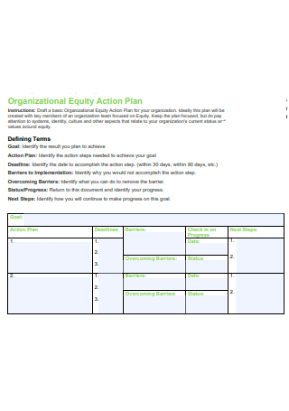 Organizational Equity Action Plan