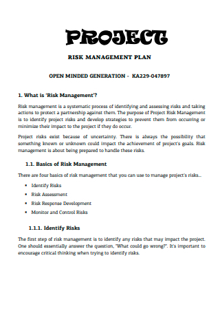Printable Project Risk Management Plan