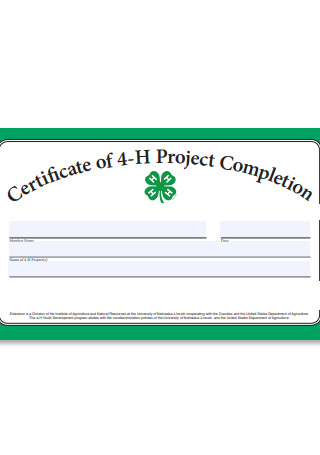 Project Completion Certificate