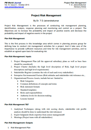 Project Risk Management Plan in PDF