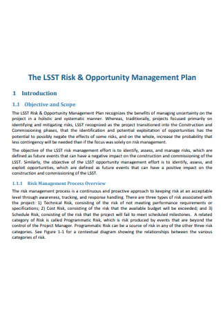Project Risk and Opportunity Management Plan