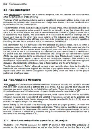 Risk Assessment Plan in PDF