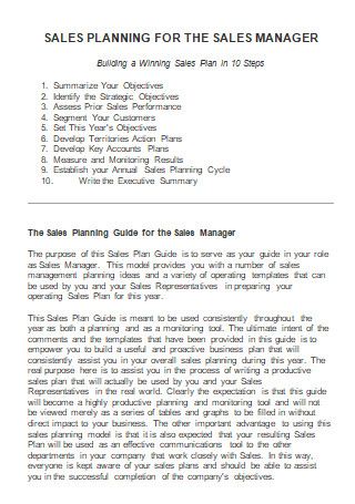 Sales Planning For Sales Manager