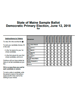 Sample Democratic Primary Election Ballot