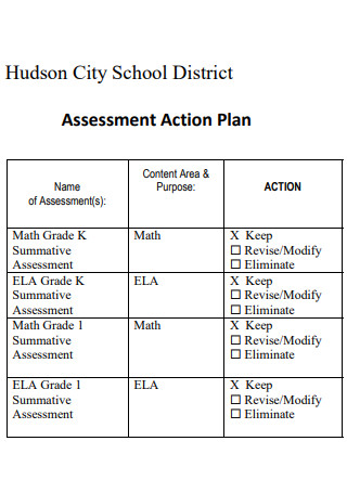 School Assessment Action Plan