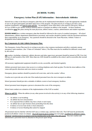 School Emergency Action Plan in PDF