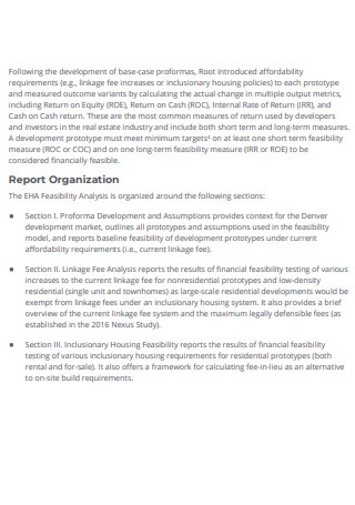 Short Feasibility Organizational Report