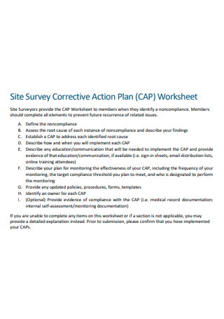 Site Survey Optional Corrective Action Plan Worksheet
