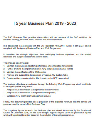 Standard 5 year Business Plan