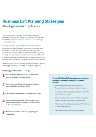 Standard Exit Strategies Business Plan
