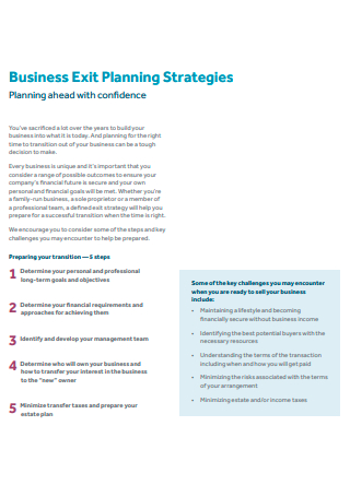 8+ SAMPLE Exit Strategy Business Plan in PDF