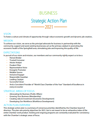 Strategic Business Action Plan in PDF