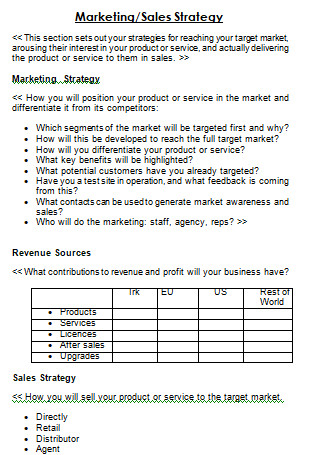 Strategic Sales Plan
