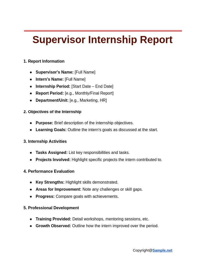 Supervisor Internship Report Google Docs 11 12 2024 04 12 PM