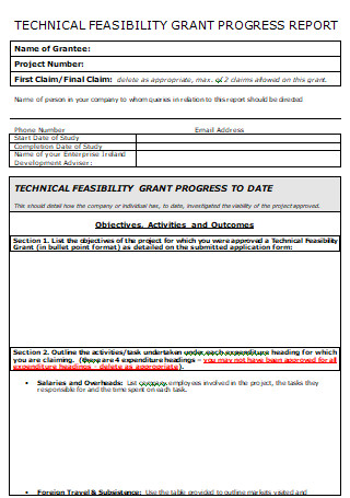 Technical Feasibility Grant Progress Report