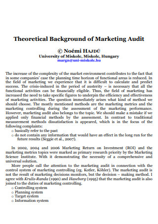 Theoretical Background of Marketing Audit