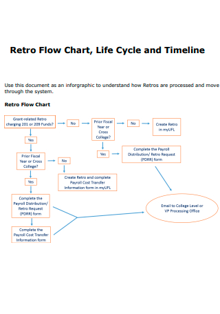 Timeline Retro Flow Chart