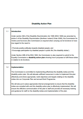 Basic Disability Action Plan