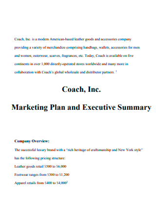 Coach Marketing Plan Example