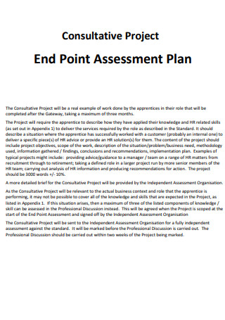 Consultative Project Assessment Plan