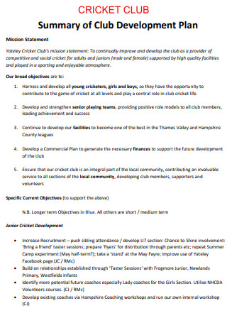 Cricket Club Development Plan in PDF