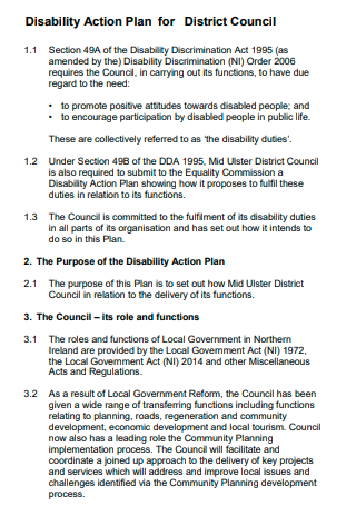 Disability Action Plan For District Council
