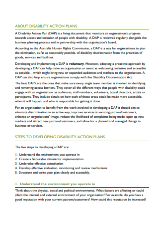 Disability Action Plan Format