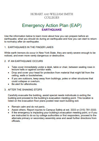 Earthquake Action Plan at College