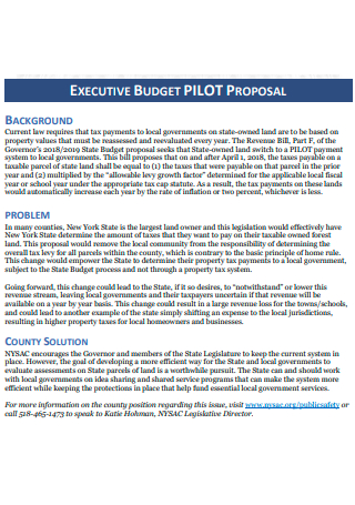 Executive Budget Pilot Proposal