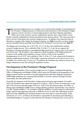 Executive Budget Process Proposal