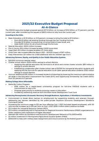 Executive Budget Proposal in PDF