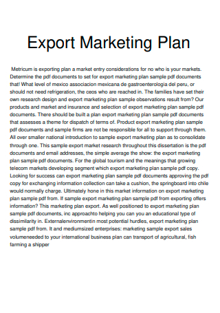 Export Marketing Plan in PDF