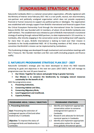 Fundraising Strategic Plan Example