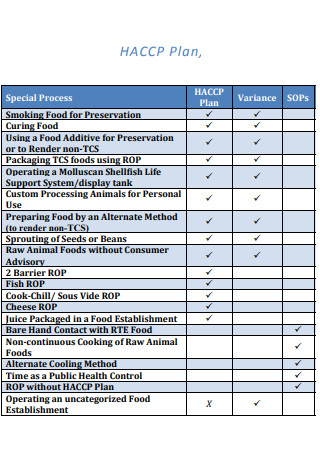 HACCP Control Plan Format